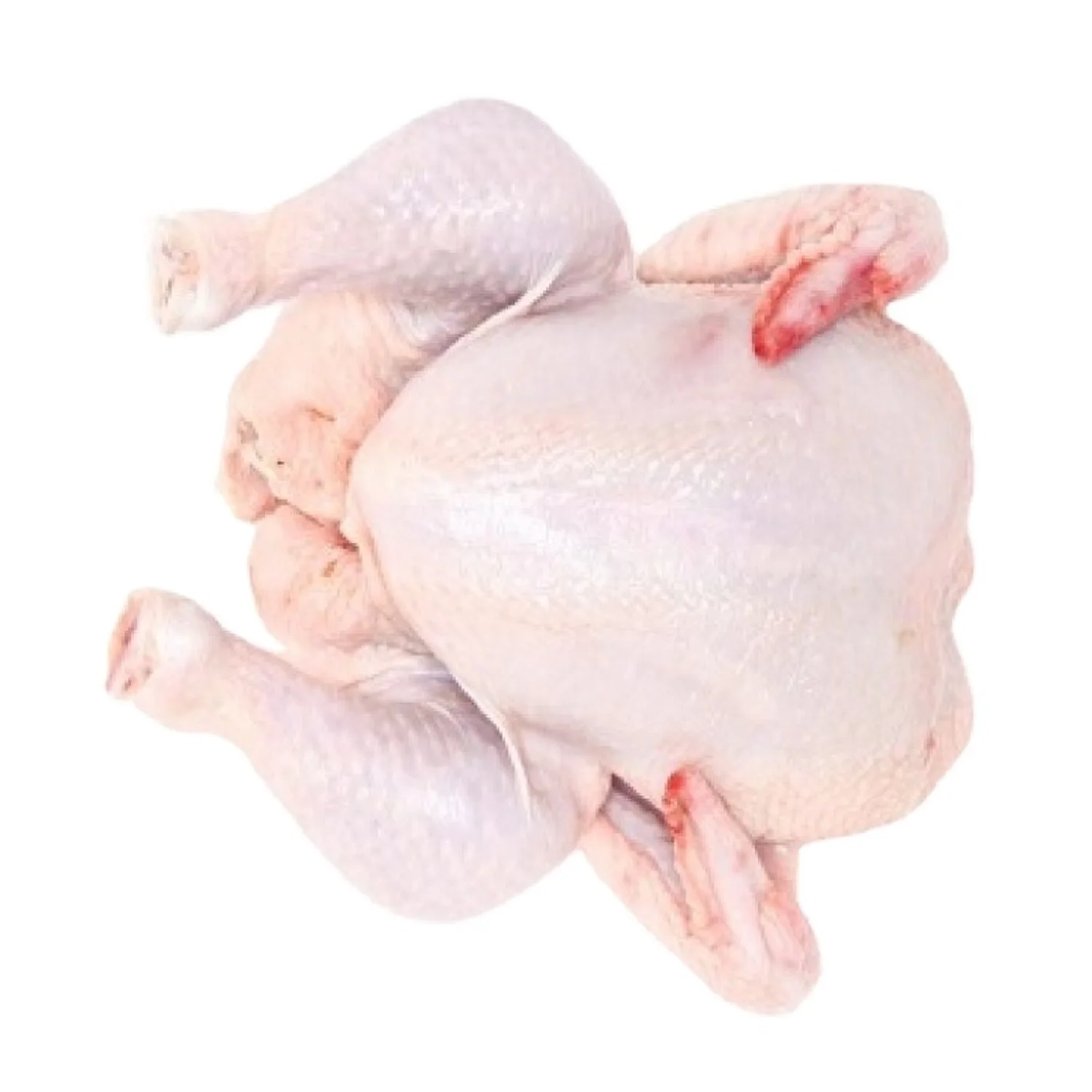 Halal Frozen Whole Chicken Wholesale Frozen Chicken