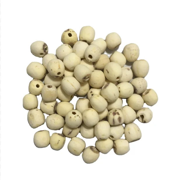 Export Dried Lotus Seeds Lotus Seed Dried White Lotus Seed
