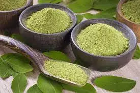Wholesale organic moringa leaf powder moringa Oeifera  powder