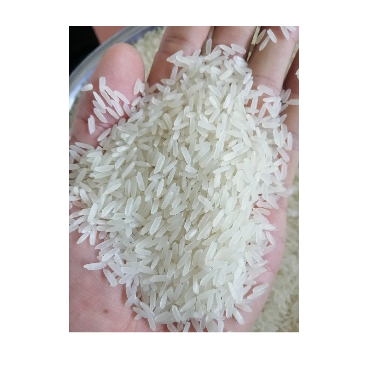 Мельница риса HACCP ломаное зерно, сухая текстура 2%, новый урожай, ISO CERT KDM RICE JCC FOOD из Вьетнама
