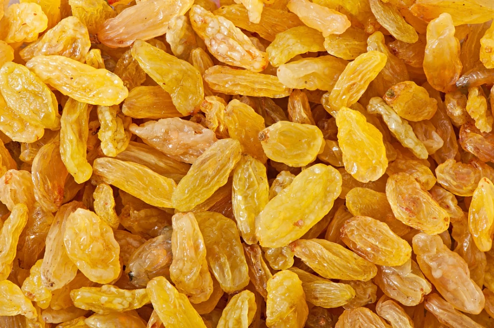 Quality Assured Natural Dry Grapes ( Raisin ) Wholesale Bulk Purchase Dry Raisins / Dry Fruit Manufacturer From India