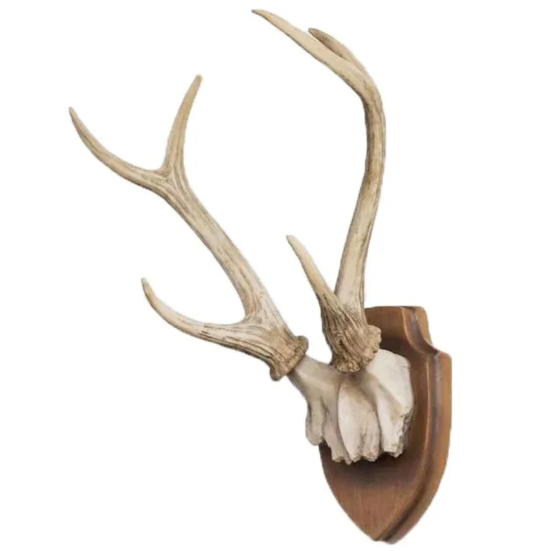 Wholesale Top Grade Red Deer Antlers, Red Deer Antlers Horns, Naturally Shed Whole Red Deer Antlers