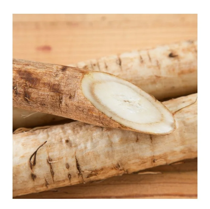 Best Quality Hot Sale Price Fresh Vegetables Burdock Root