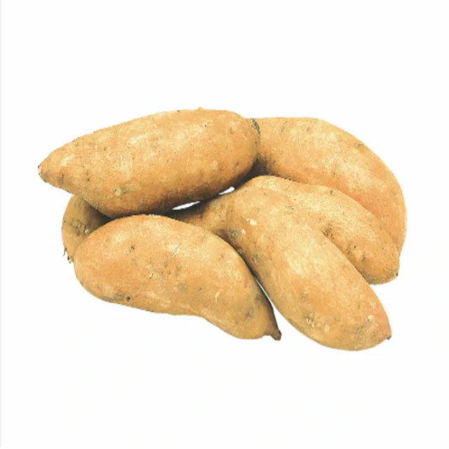 Bulk Stock Available Of Fresh Vegetables Sweet Potatoes At Wholesale Prices