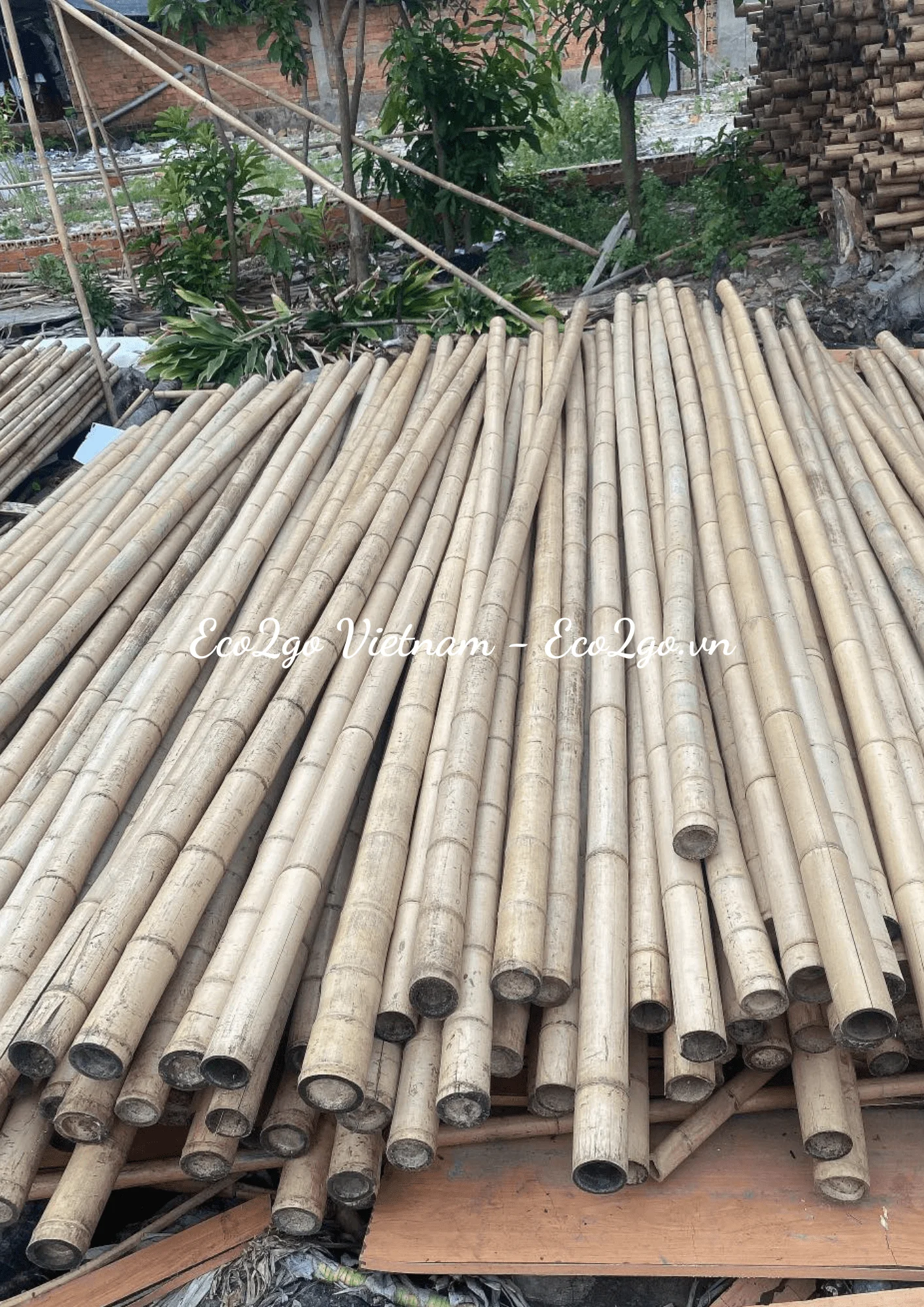 Best Seller Bamboo In Vietnam Bamboo Poles/ PVC Bamboo Poles/ Bamboo Poles Price With High Quality From Eco2go Vietnam