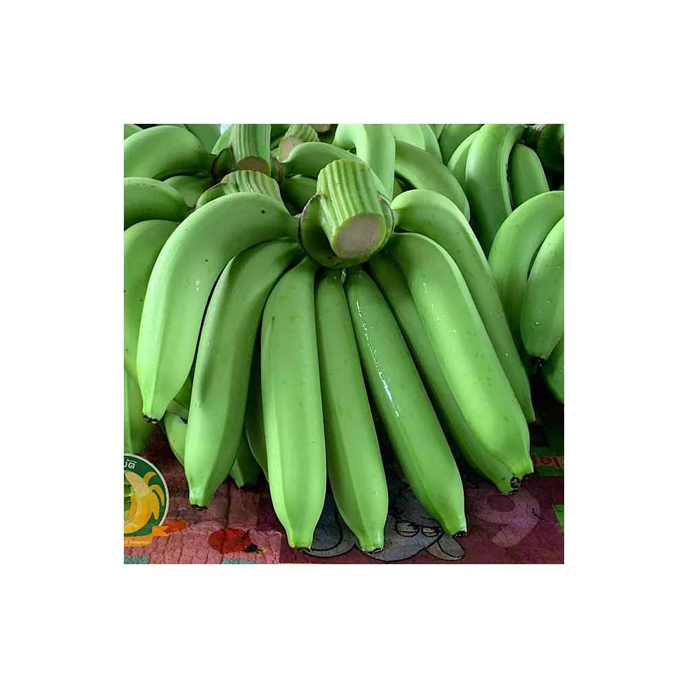 Hot Sale Best Quality Hom thong Banana  From Thailand