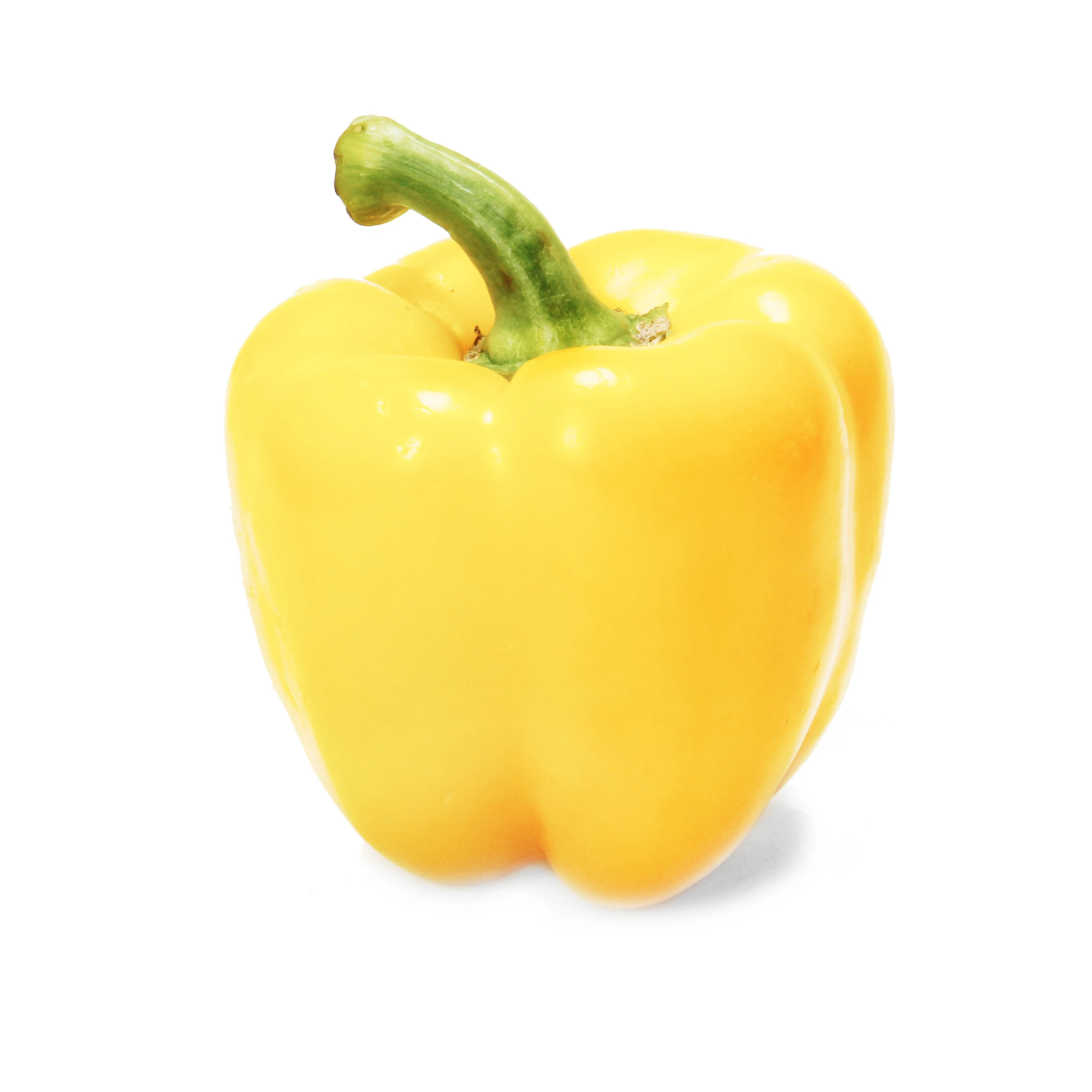 Good and quality Cheap Bell Pepper Green Yellow Red Sweet Pepper for sale