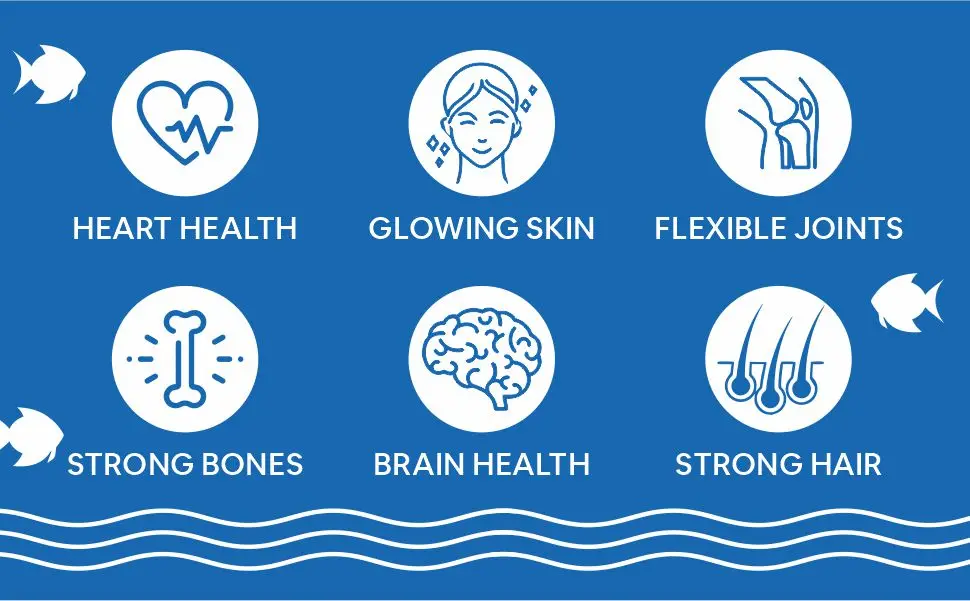 OMEFISH MAX IMAGE2.jpg