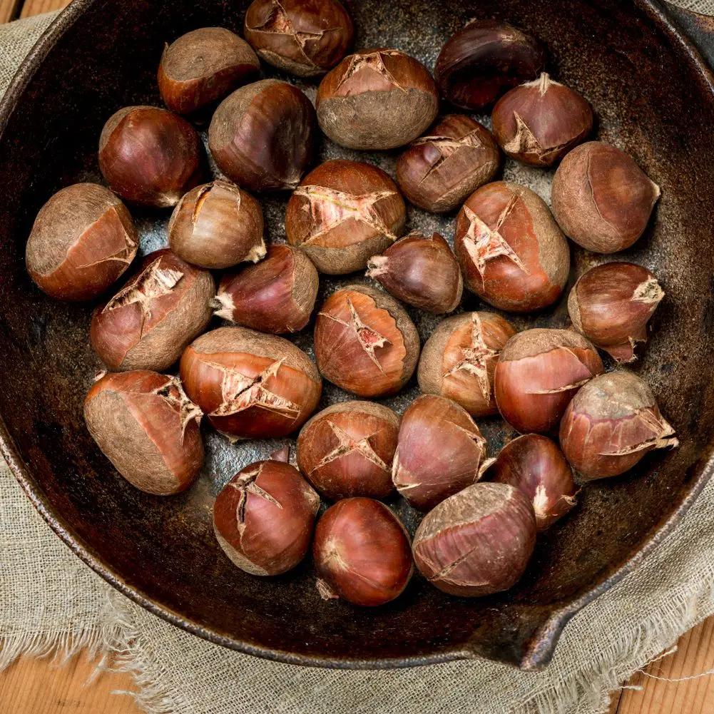 Bulk Chestnuts Available Premium Quality Chestnuts in Bulk for Sale Ideal for Various Uses