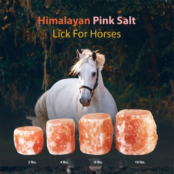 2024 Wholesale Himalayan Animal Horse Lick Natural Pink Salt Natural shape salt with strong hanging Rope Customized Packing