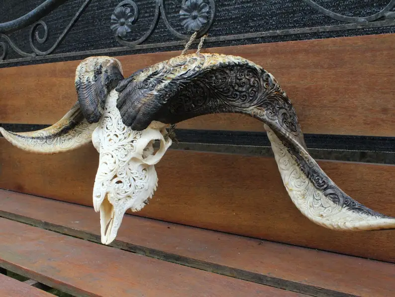 Crafted Buffalo Bull & Ram Skull with Majestic Horns  Modern Cultural Wall Art and Stand Decoration for Sophisticated Interiors