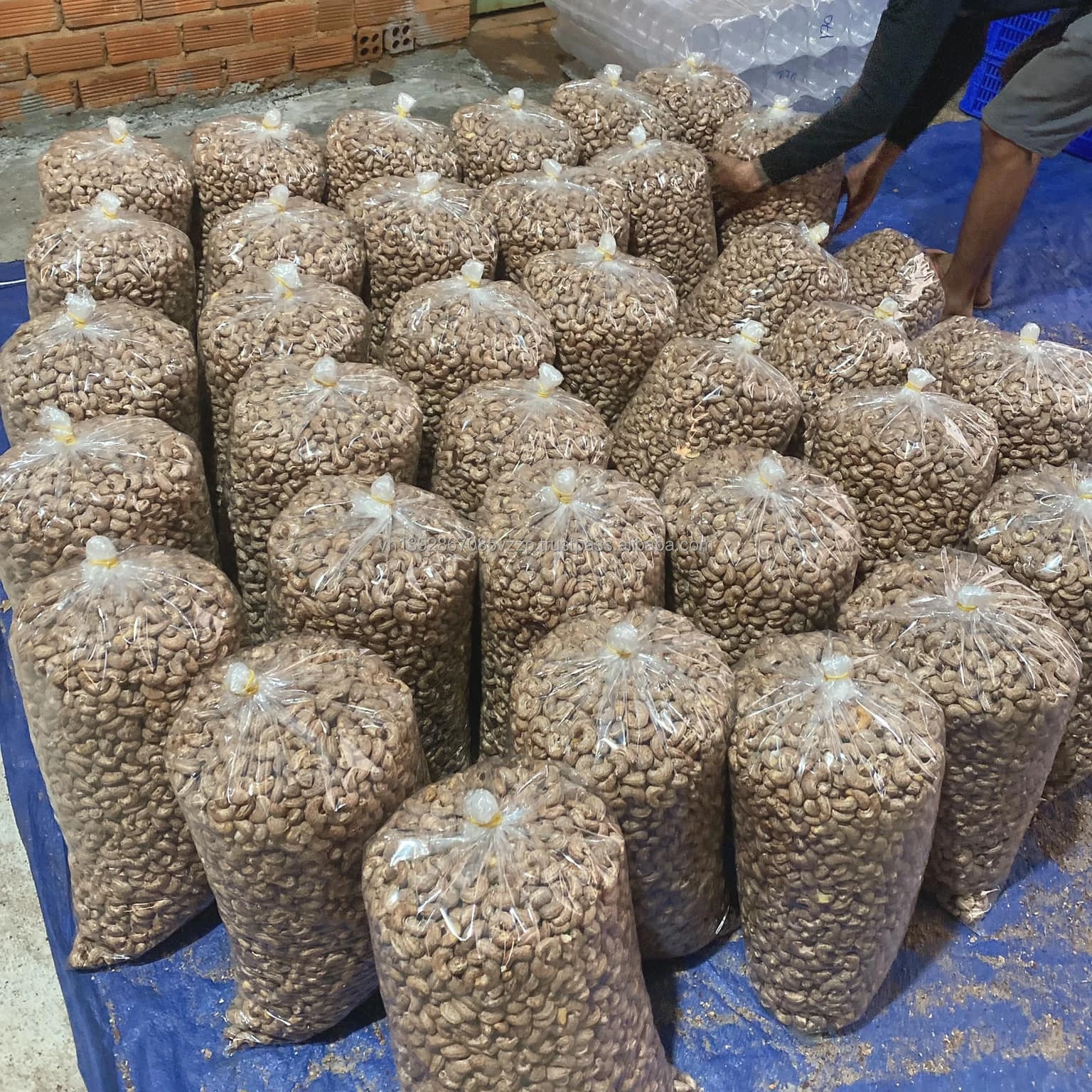 Bulk top-grade kaju cashews with a low minimum order quantity (MOQ)