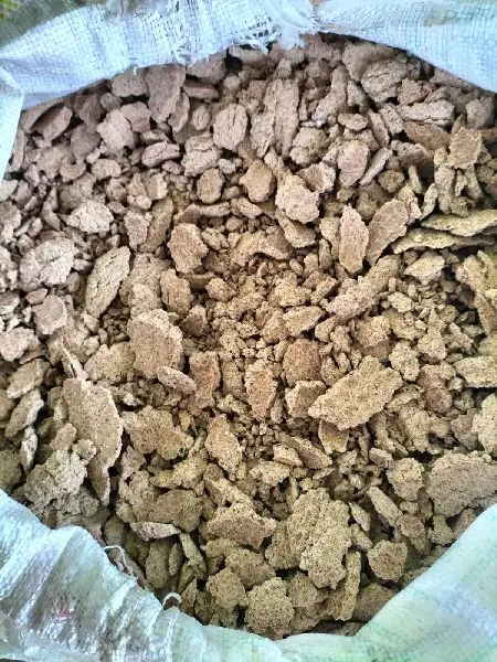 Manufacturing a Best Quality Copra Cake from South India Which is Made from the White Part of the Coconut which is Dried