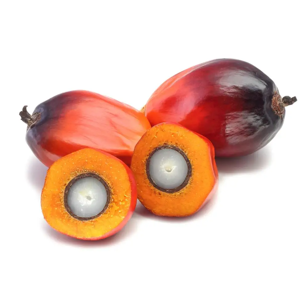 Palm Oil Red Palm OIL / Refined Palm Oil (CPO), Palm Olein Oil CP8, Rbd Palm Olein