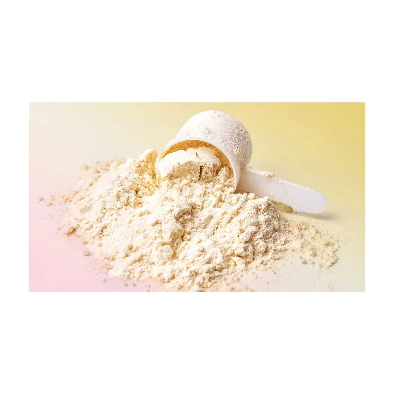 Creatine Monohydrate Powder Bulk HPLC Creatine Monohydrate Whey Protein Powder Creatine Powder