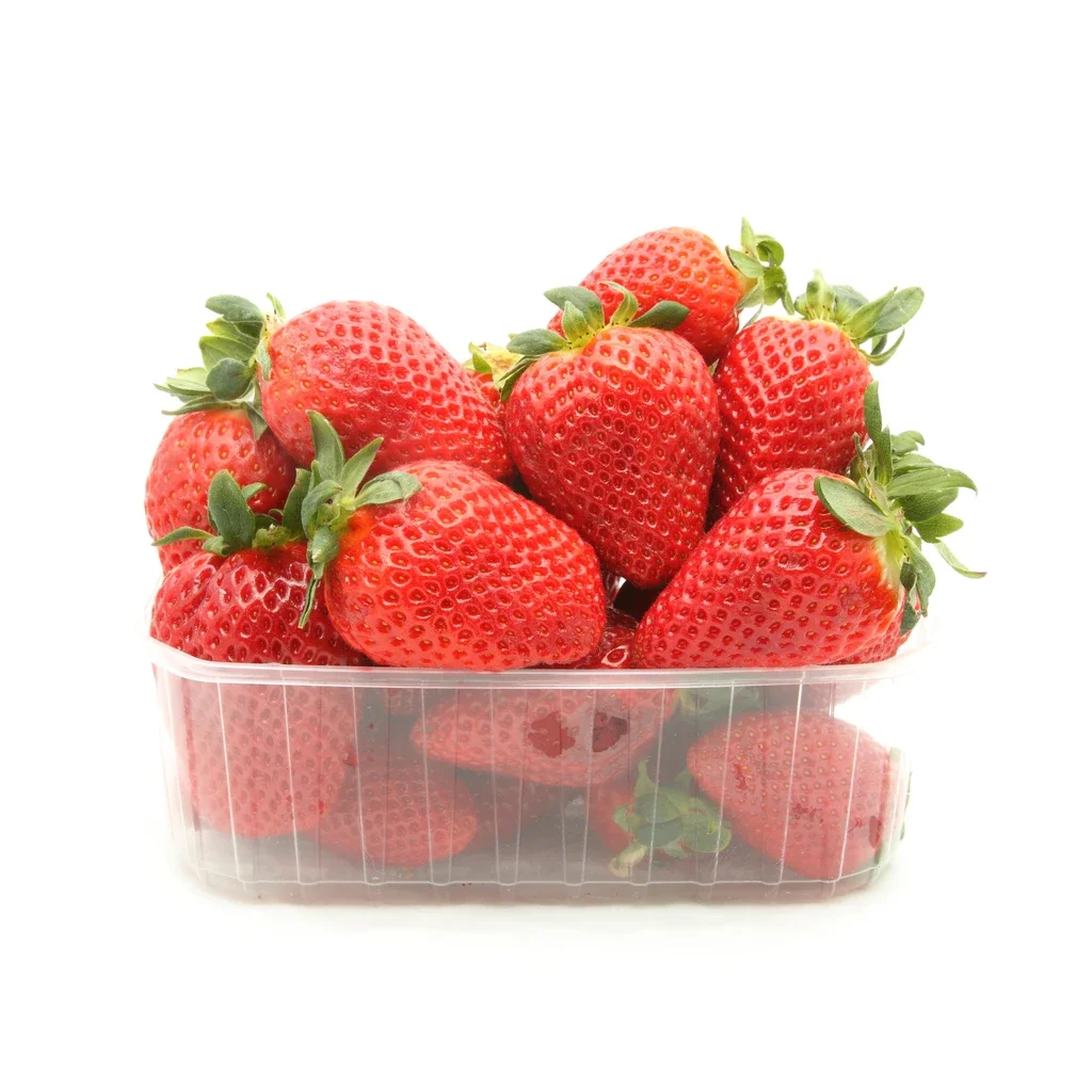 Strawberry fruits, best Market Price Usa and Mexico origin