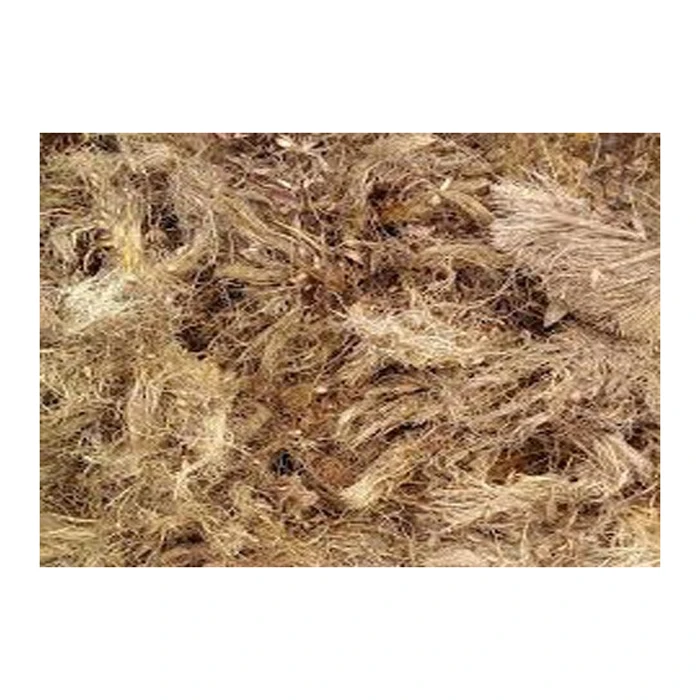 Broom Palm Fiber Material 100% Natural Palm Fiber Brooms Household Soft Broom for Cleaning