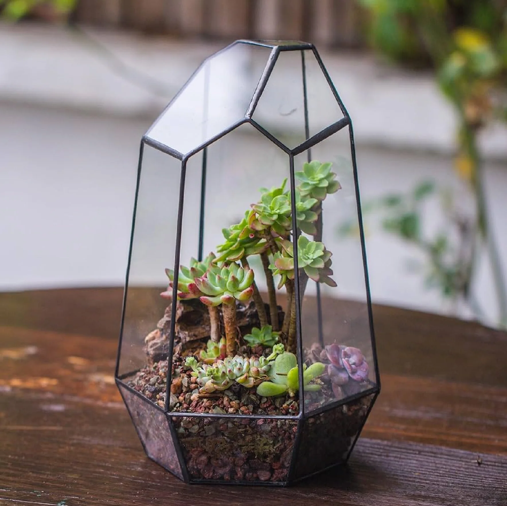 Glass Geometric Terrarium Box Tabletop Succulent Plant Planter Flower Display and Table Decoration At Wholesale and Factory Pric
