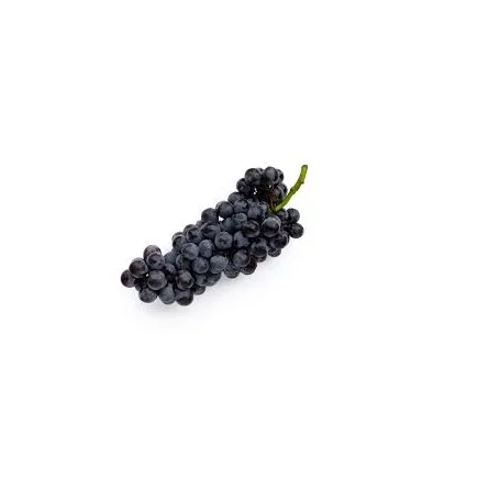 Best Price Top Quality Premium Black Grapes with Good Sweet Content and Flavorful Available  from Indian Exporter