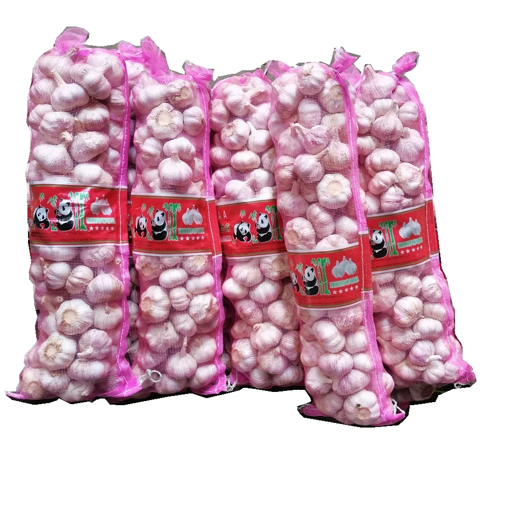 fresh pure /normal white garlic for export mesh bag