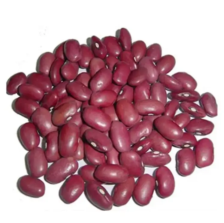 Wholesale Kidney beans, Black, Red White kidney beans