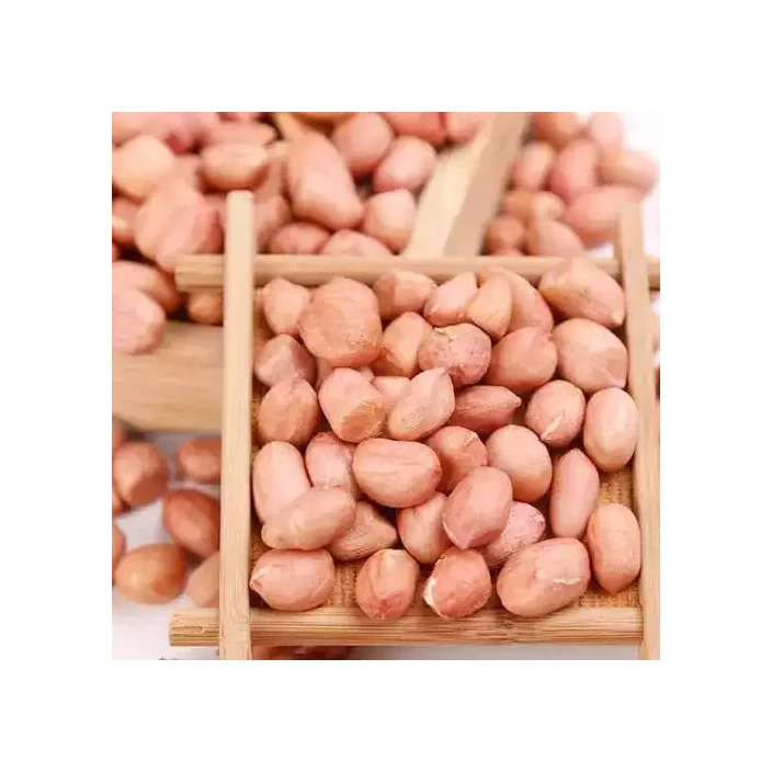 High Quality Raw Peanuts Kernel And Raw Peanut In Shell For Sa