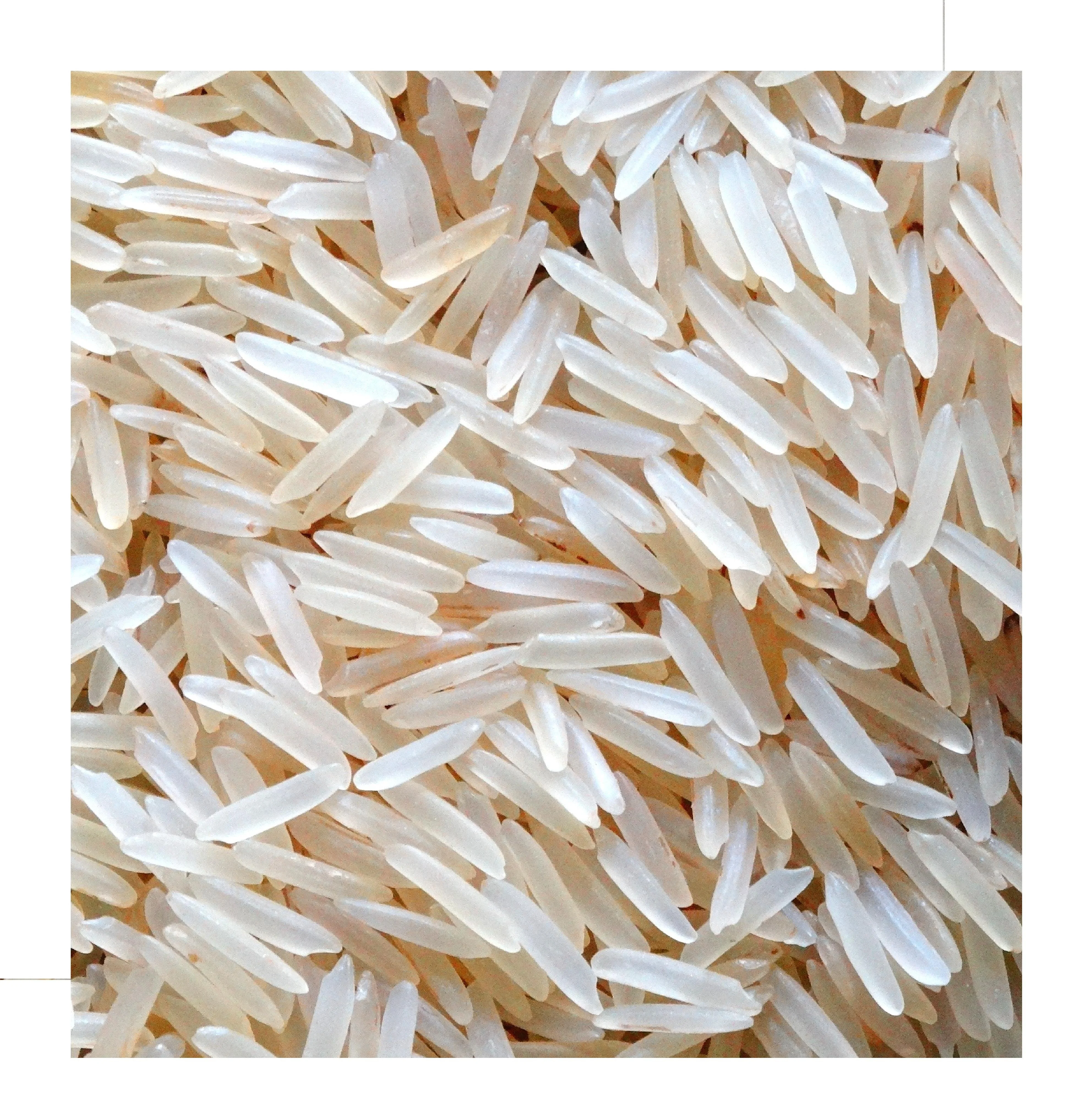Hot Sale Top Selling Best Rice From India High Quality White Rice Cheap Affordable First Grade Rice At Cheap Price