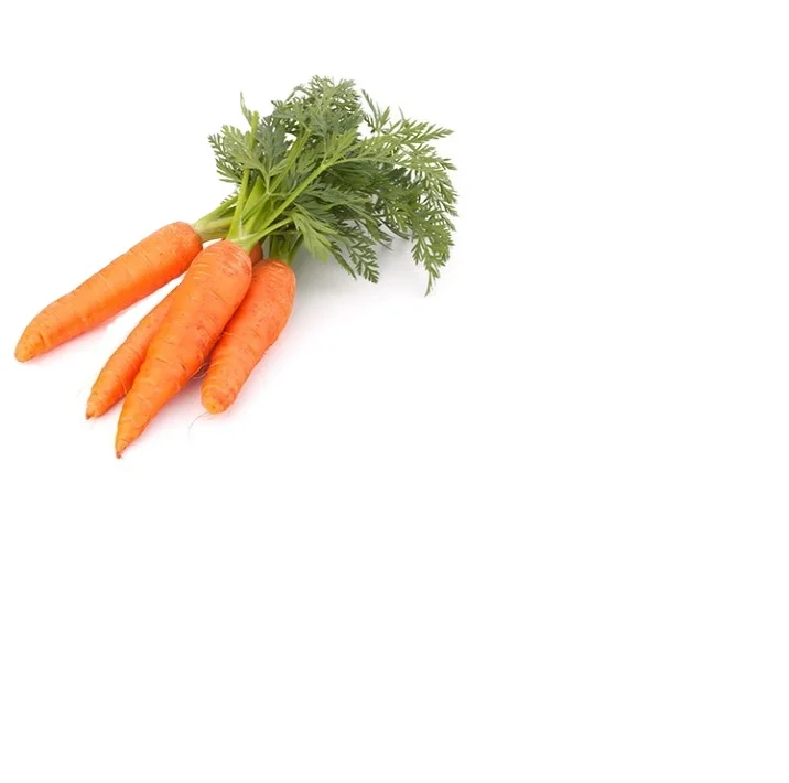 bulk suppliers fresh dehydrated dried carrot