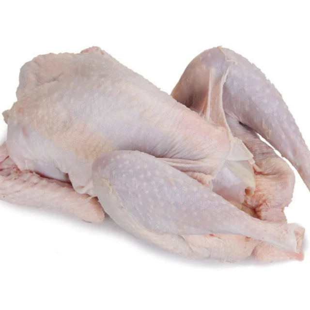 Best Quality Healthy and Natural Whole Chicken Halal Frozen From Turkey Poultry Meat with Customize Pack