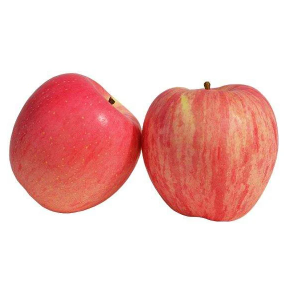 Fresh Apples Exporters Fresh Red Delicious Apple Fresh Price For Wholesale New crop Fresh Apple for Sale