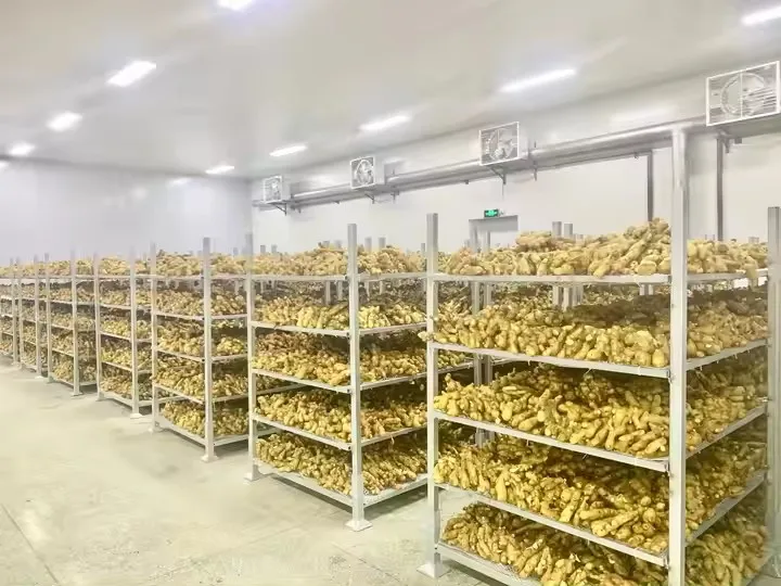 Высокое качество свежий имбирь толстый нарезанный оптовая цена продукт категории