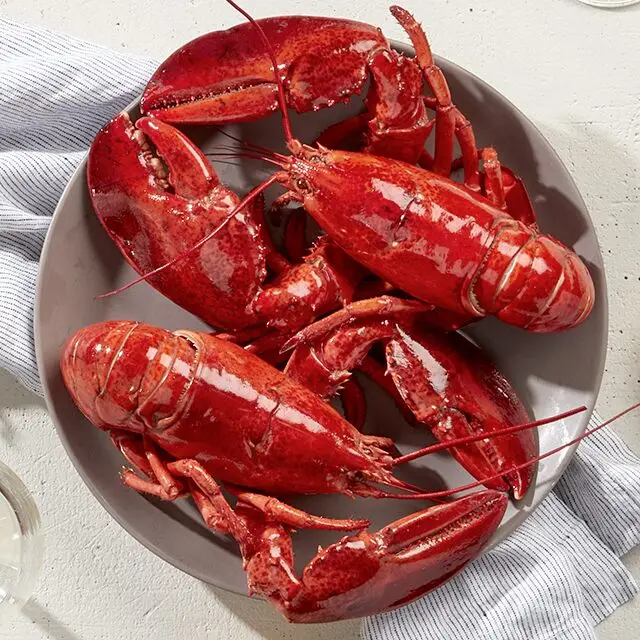 LIVE CRAYFISH - SPINY LOBSTER WHOLE ROUND GOOD PRICE
