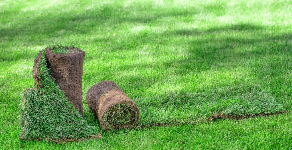 Evergreen Ecograss Turf Grassscape Lawn Grass Truf-Garden Ornament