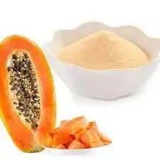 Dehydrated Papaya Enzyme Papain Extract Powder Reasonable Price 100% Organic Papaya Pawder / Papaya Juice Powder For Sale
