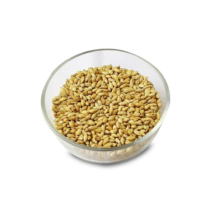 Hot Sales Organic Dried Malting Barley Seeds Whole Hulled Barley Grains Pearl Barley for Animal Feed