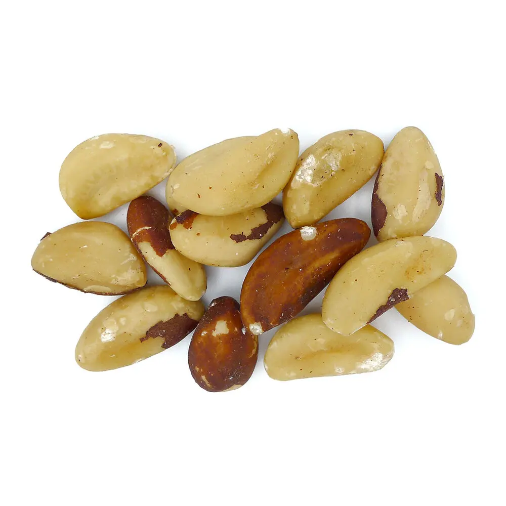 Wholesale Price Raw and Roasted cheap price Brazil Nuts 100% Raw and Roasted Organic Brazil Nuts