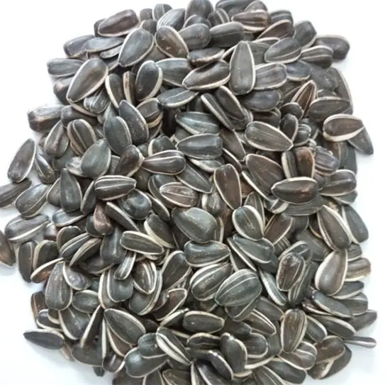 Kernels Sunflower Seeds Best Quality Cheap