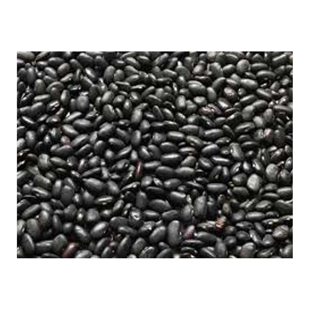 High Quality Healthy Care Black Kidney Beans For Sale Best Quality Long Shape Dark Black Kidney Bean