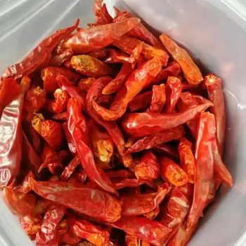 HIGH QUALITY AND BEST SUPPLIER DRIED RED VIETNAM CHILI //FROM VIETNAM NEW CROPS 2022 // MS. JENNIE (whatsapp+84 358485581)