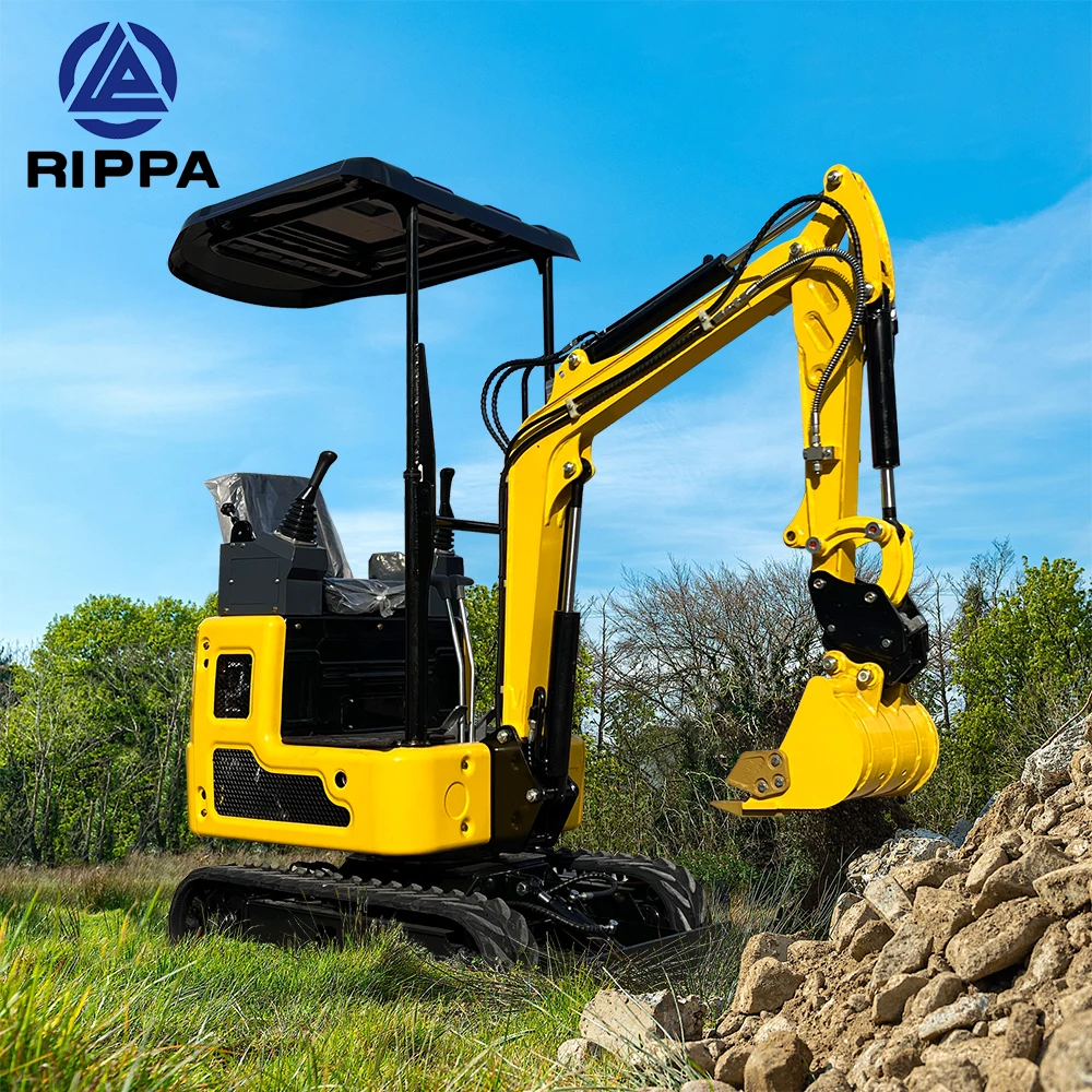 Цена со скидкой Ce EPA мини-экскаватор RIPPA гидравлический R319