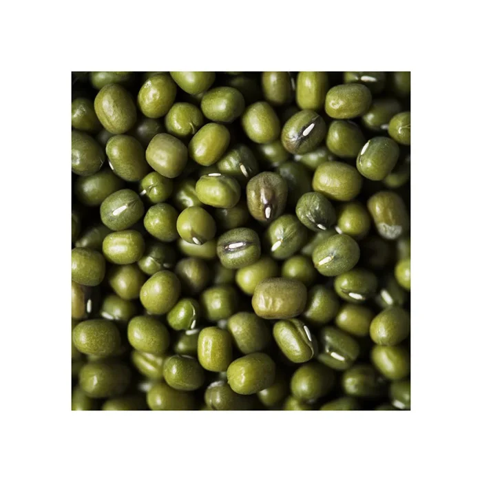 Best choice and best discounts Green Bean Machine Cleaned Premium Grade Green Mung Beans Exporter