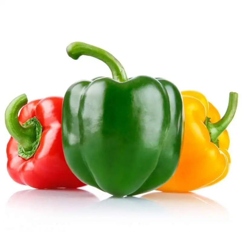 FRESH CAPSICUM Organic Sweet Bell Pepper Yellow Green Red Pepper