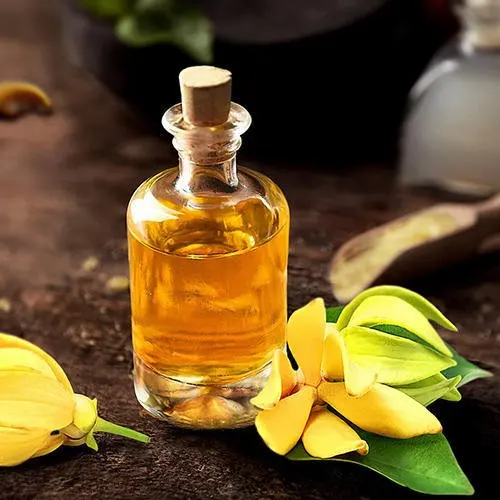 Manufacturer supply OEM 100% -organic ylang ylang e-s--s-e-n-t-i-a-l oil for aroma diffuser and aromatherapy