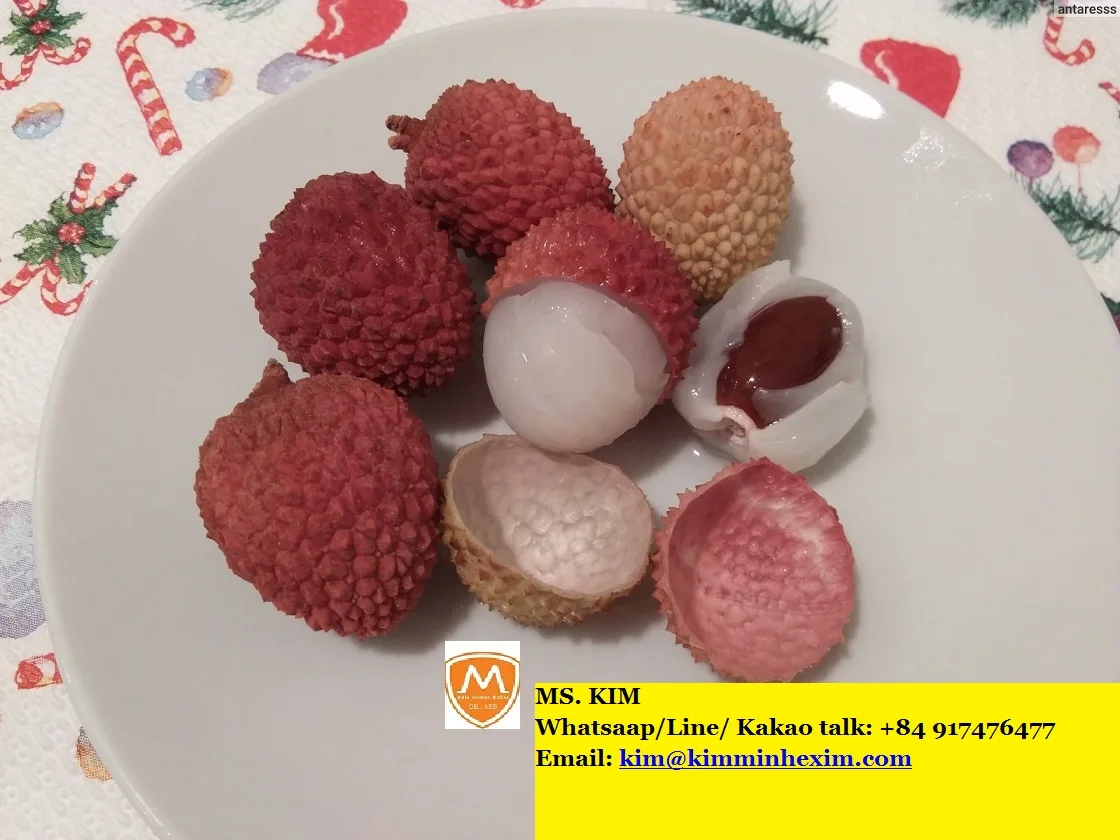 KME Seller  good quality Lychee Fruit at cheap price -- HP 0084 917 476 477