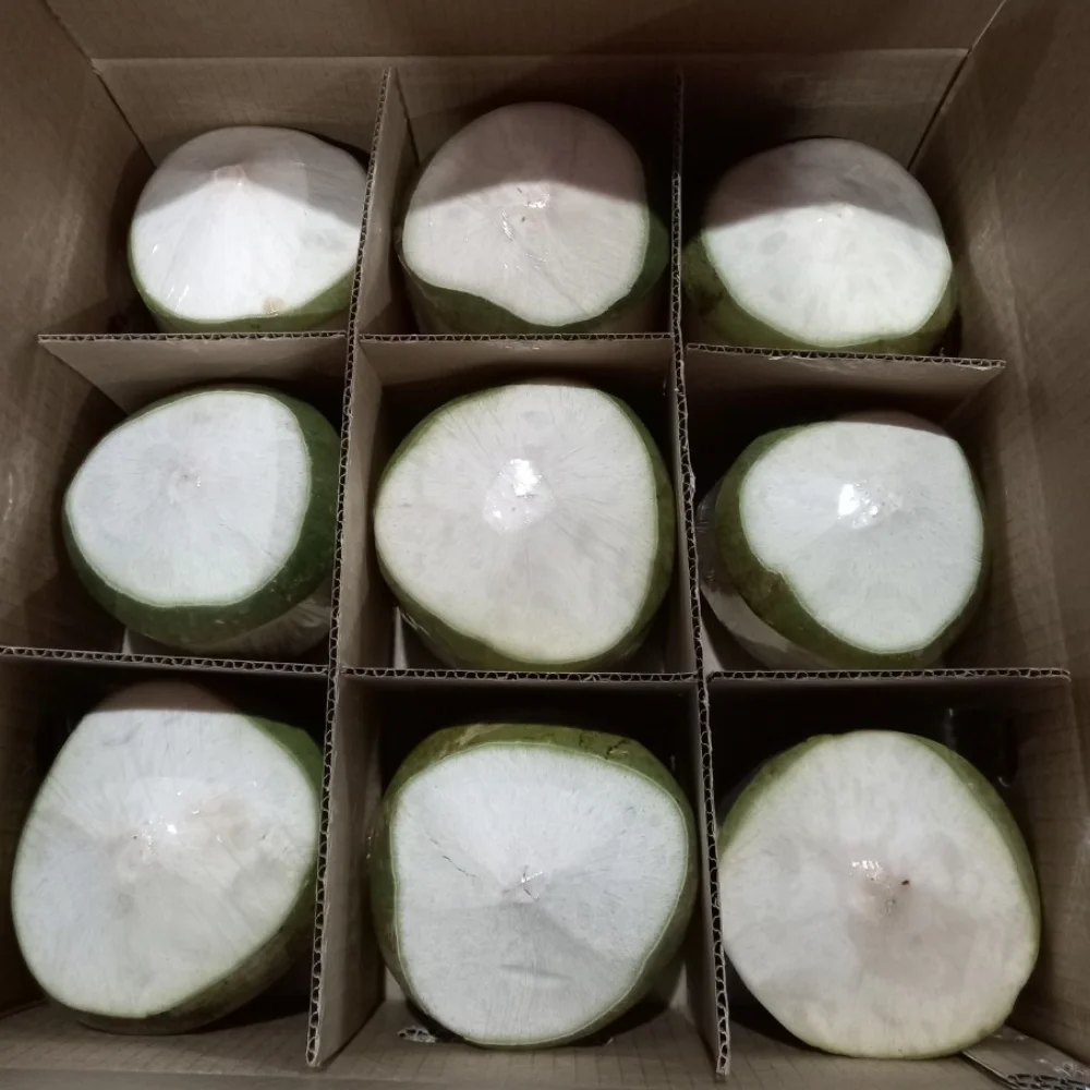 Fresh Young Coconut Wholesale for Drinking and Cooking Premium Quality from Viet Nam Manufacturer