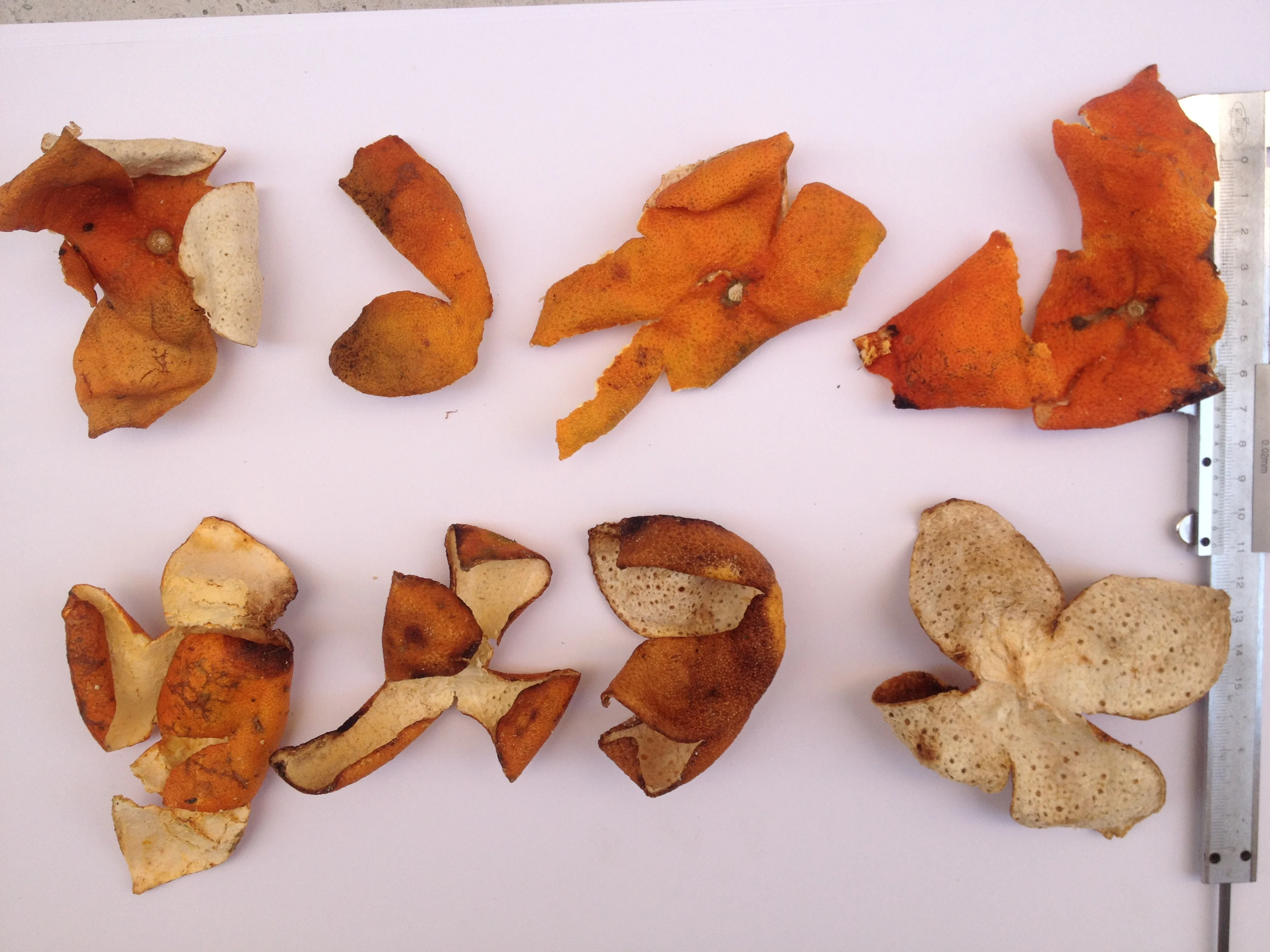 Vietnam Dry aged tree Tangerin peels