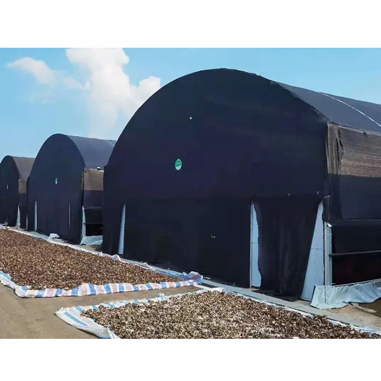Mushroom planting Galvanized Steel Frame Plastic PE Film Tunnel Green House for Outdoor Planting Edible Mushrooms Greenhouse