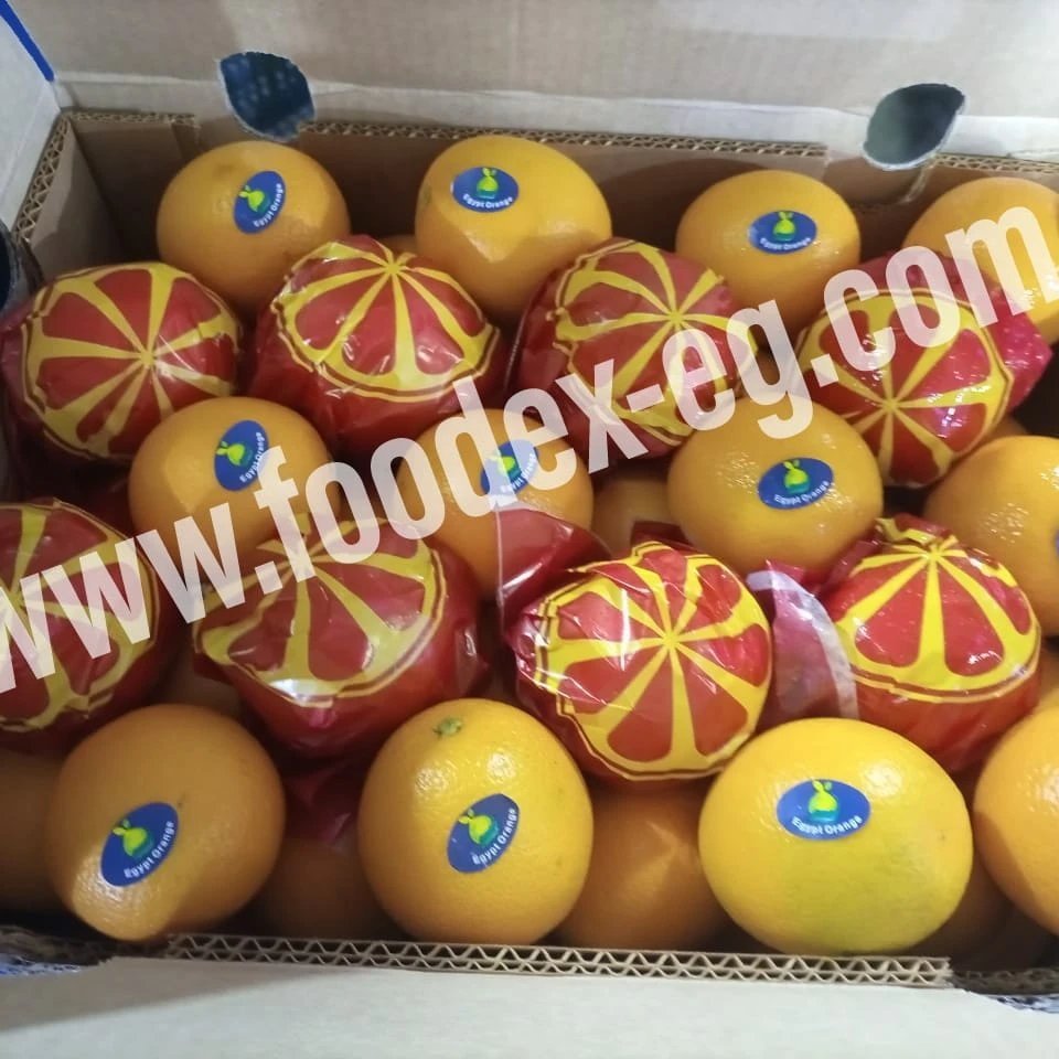 valencia egyptian orange