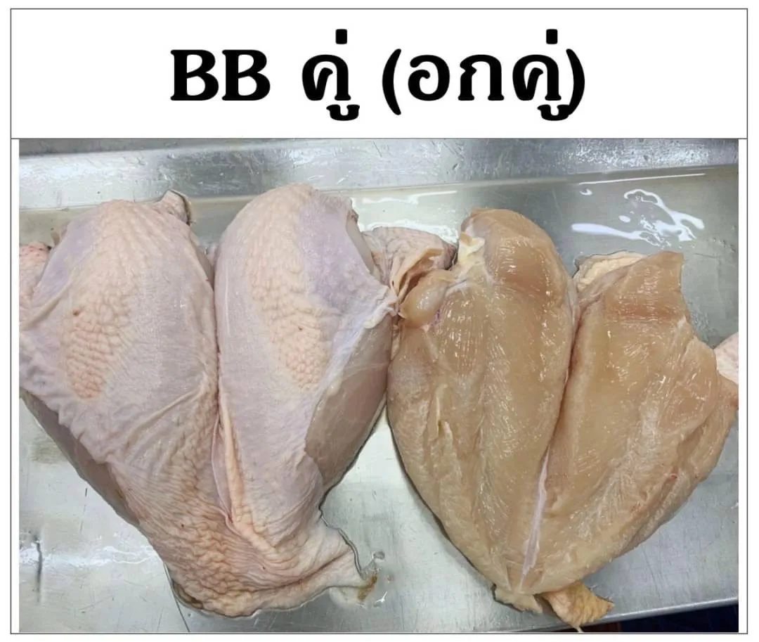 Thailand chicken breast - Frozen Chicken Breast HALAL Frozen Chicken