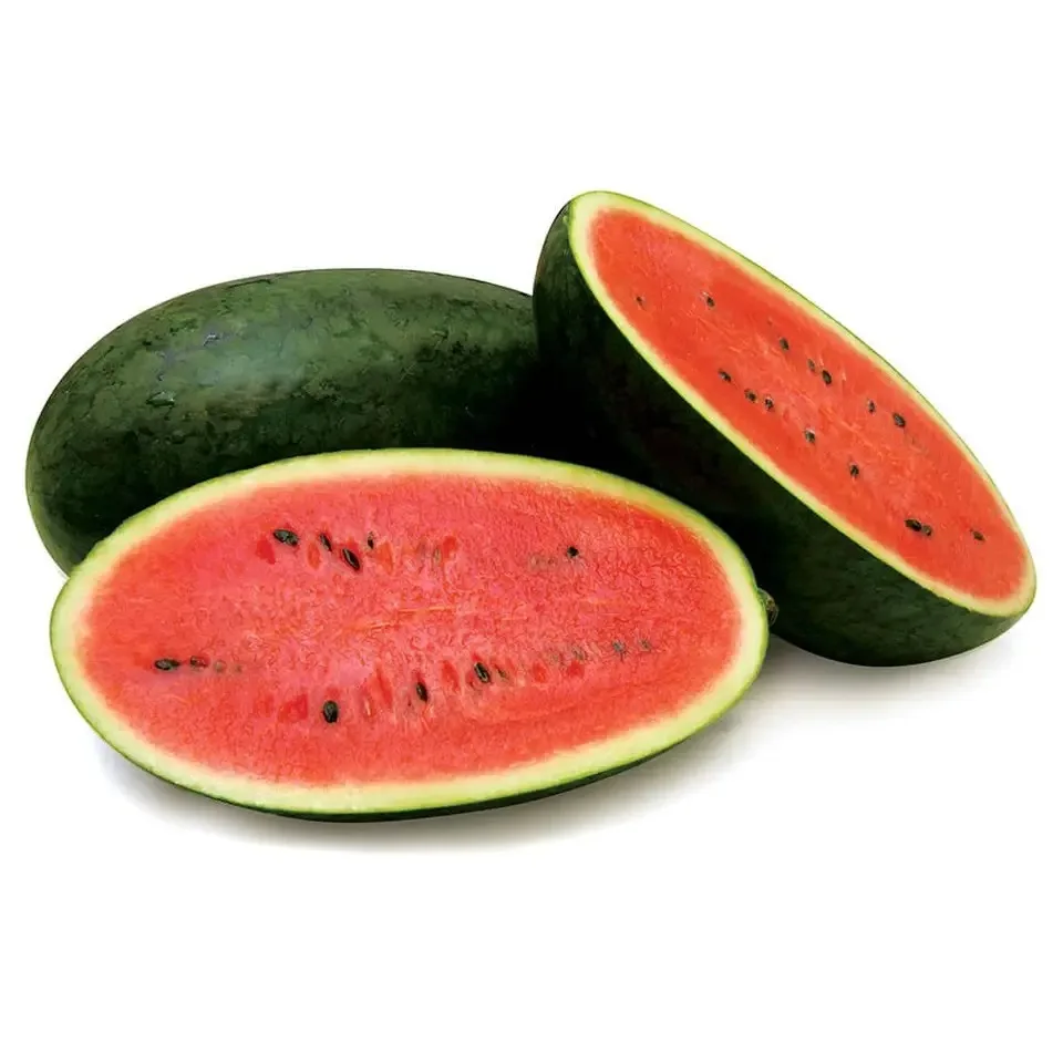 Wholesale Watermelon Fresh Fruit 100 % organic fresh watermelon